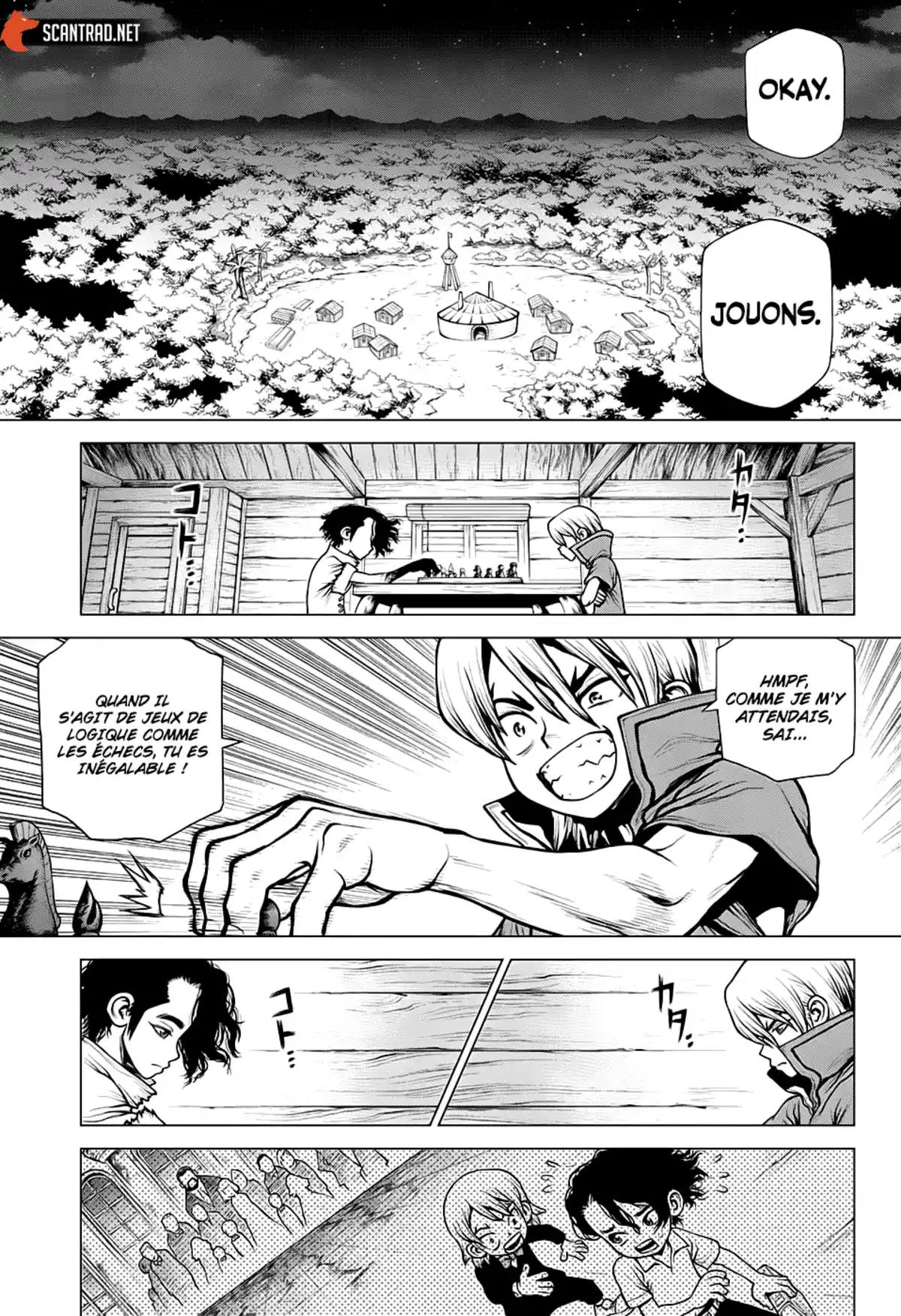 Dr. STONE Chapitre 207 page 17