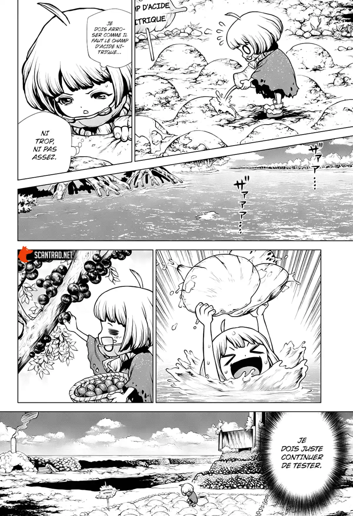 Dr. STONE Chapitre 196 page 13