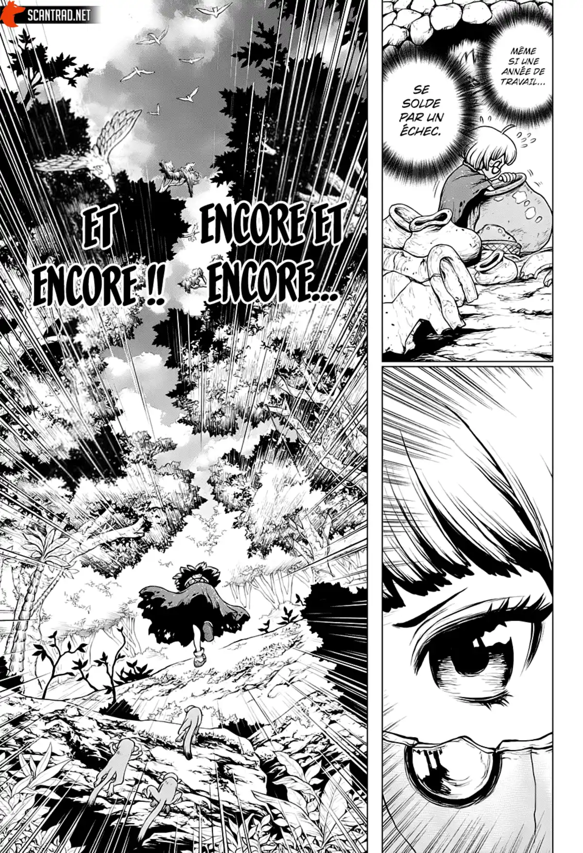 Dr. STONE Chapitre 196 page 14