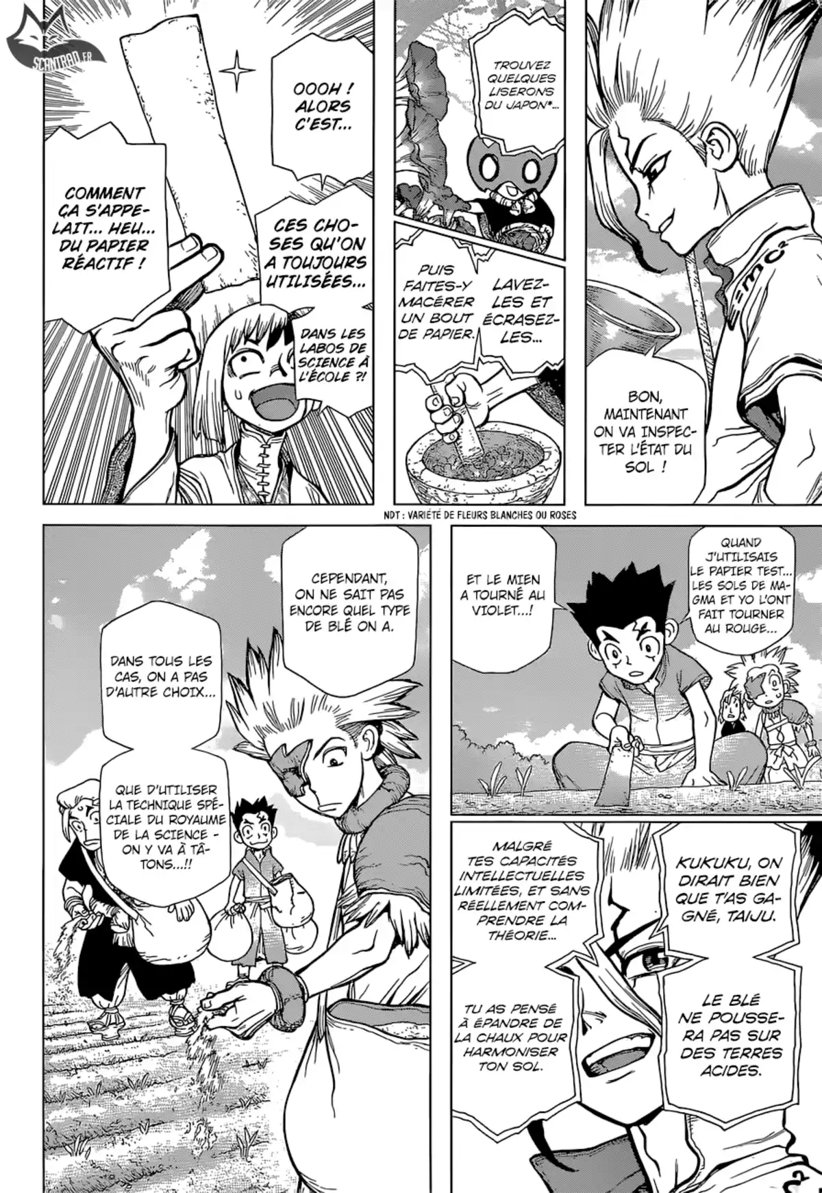 Dr. STONE Volume 11 page 47