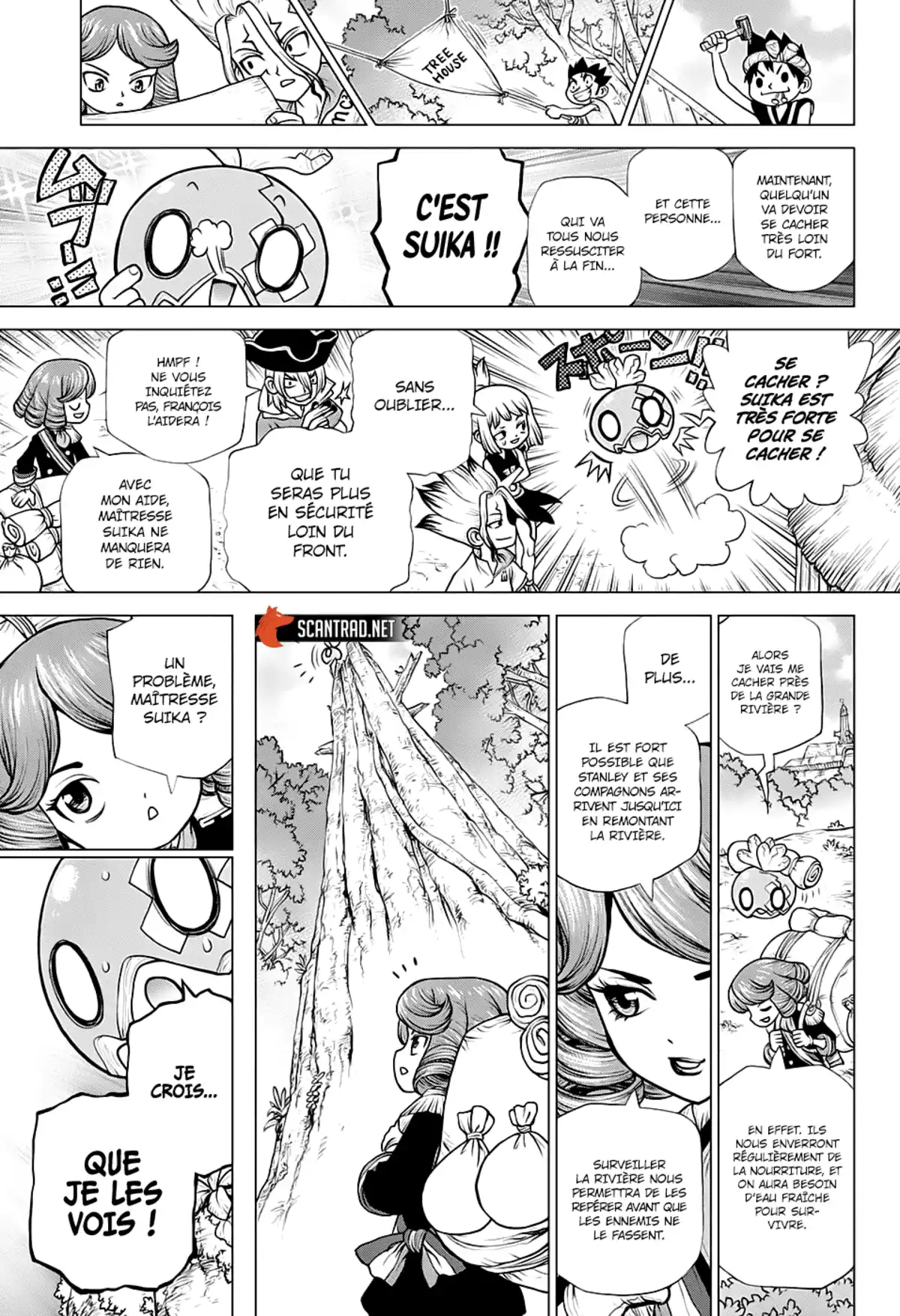 Dr. STONE Chapitre 185 page 10