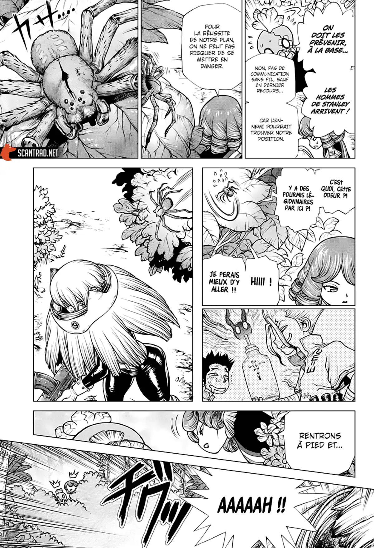 Dr. STONE Chapitre 185 page 13