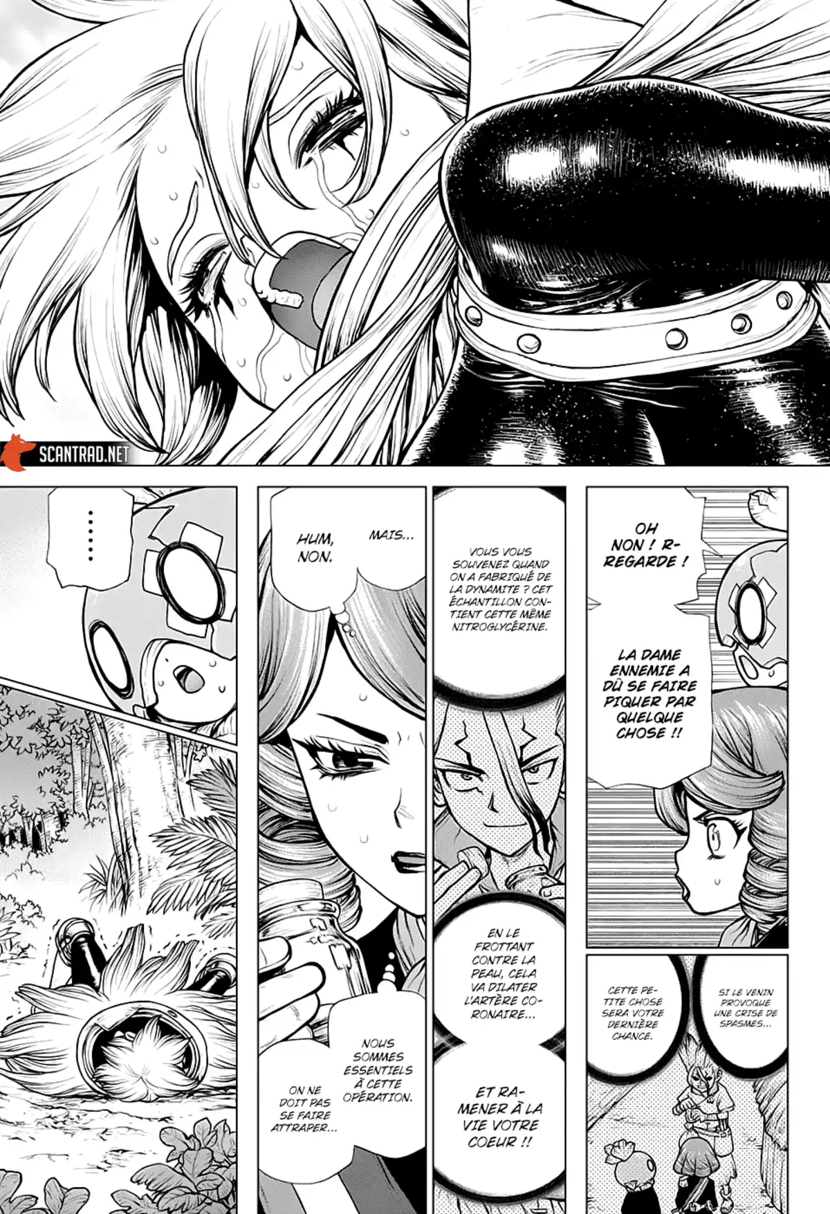 Dr. STONE Chapitre 185 page 15