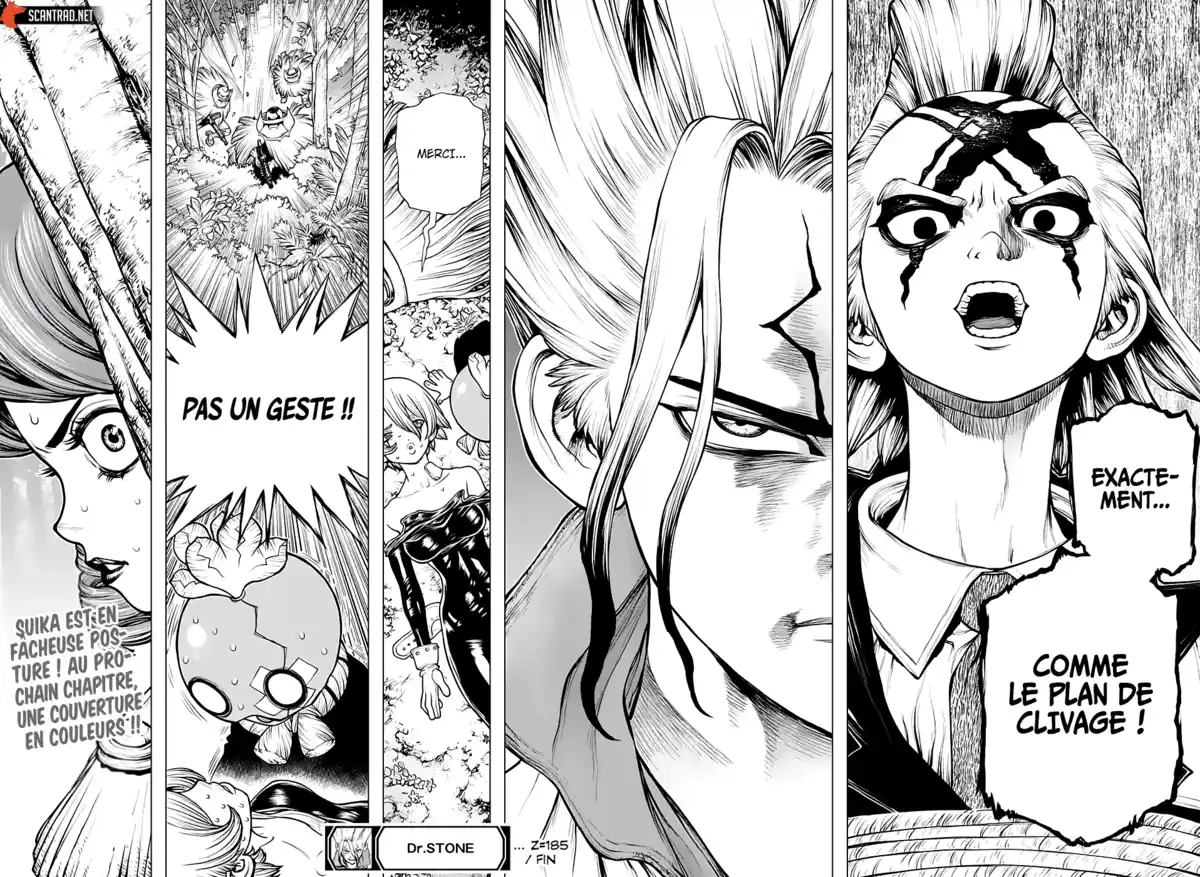 Dr. STONE Chapitre 185 page 18