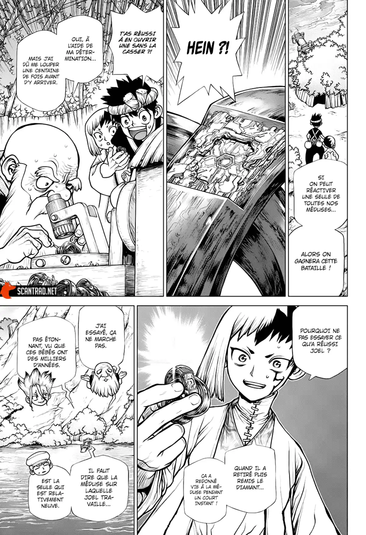 Dr. STONE Chapitre 185 page 4