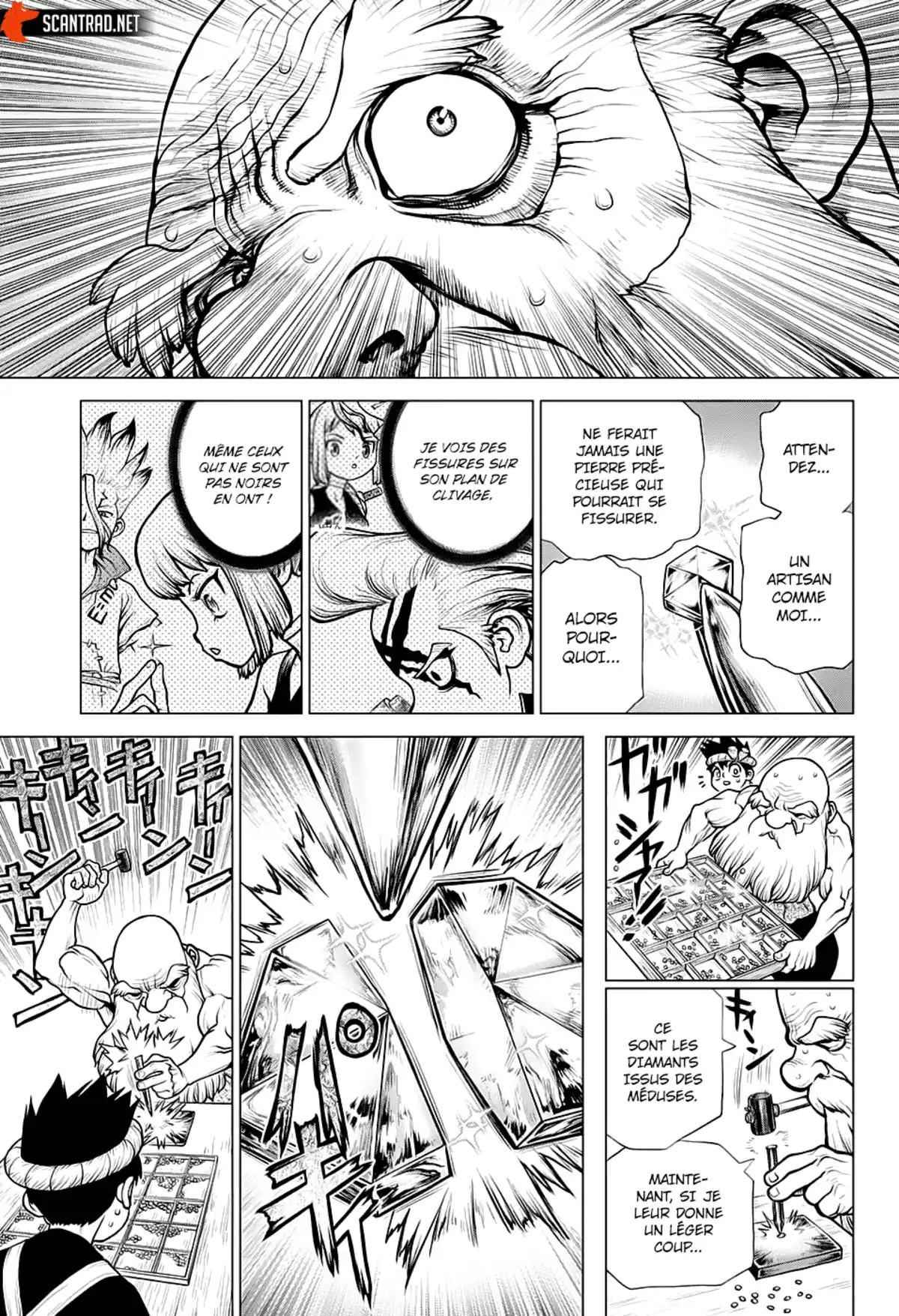 Dr. STONE Chapitre 185 page 8