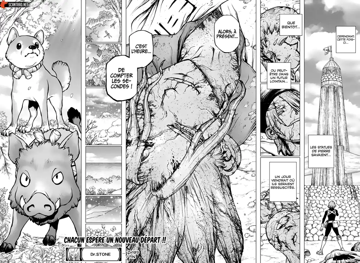 Dr. STONE Chapitre 193 page 16