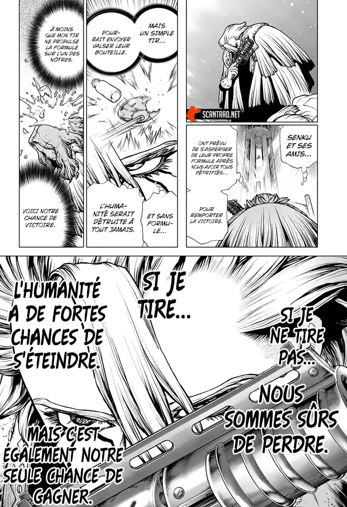 Dr. STONE Chapitre 193 page 4