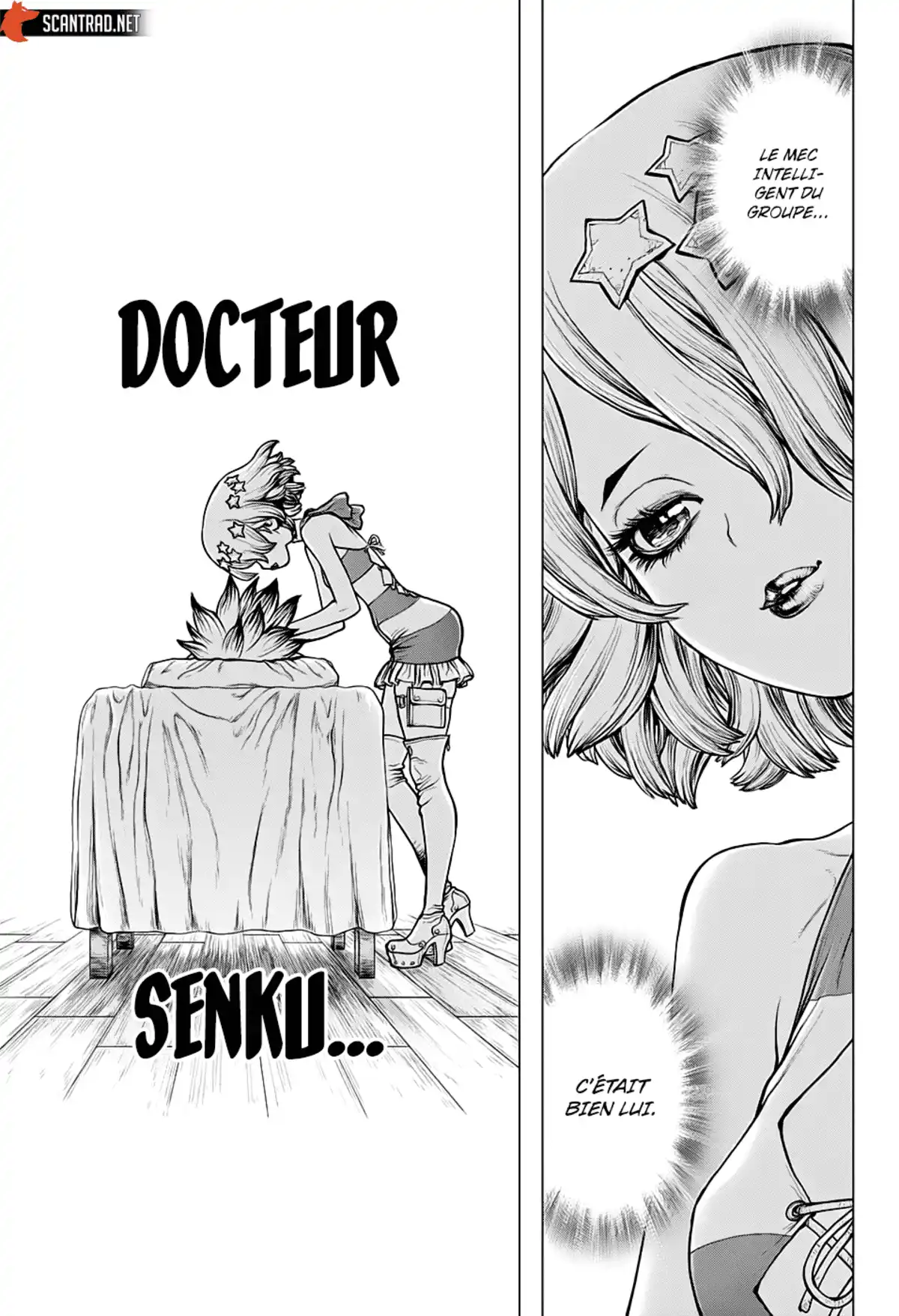 Dr. STONE Volume 19 page 41