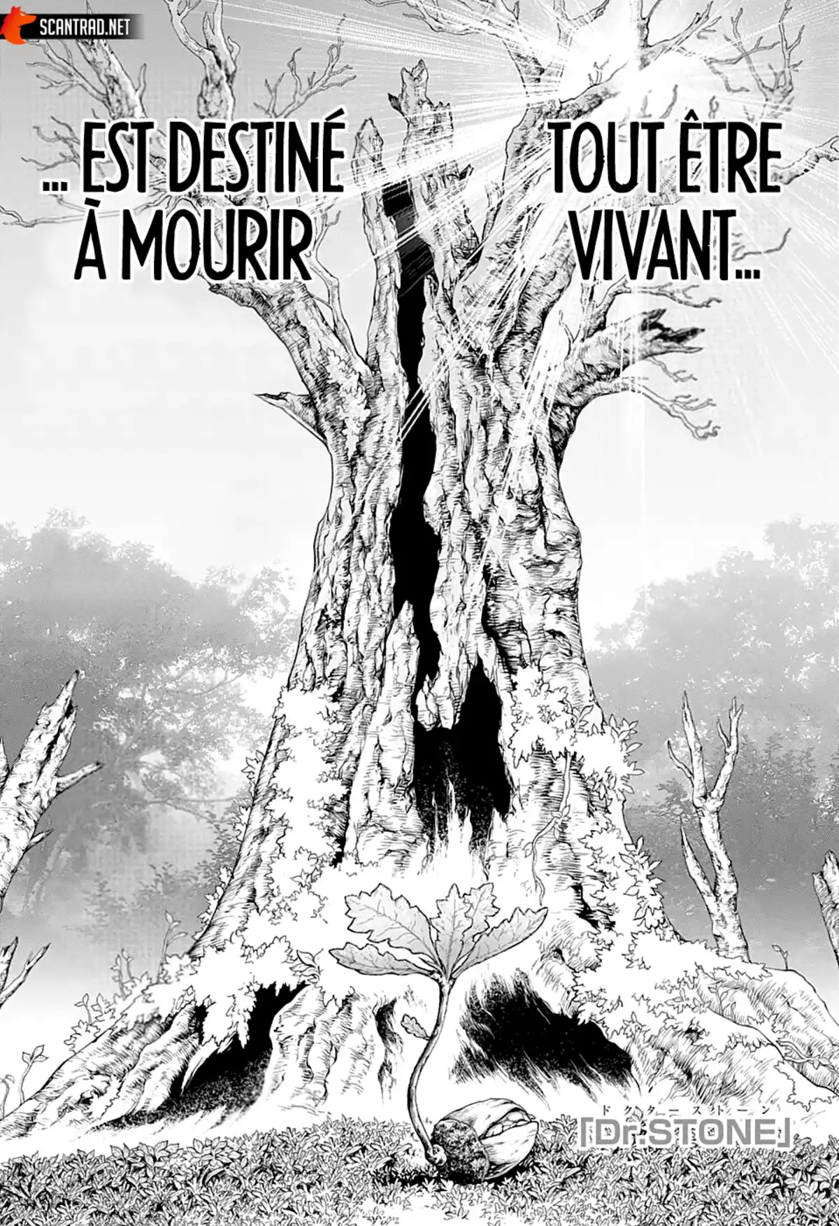 Dr. STONE Chapitre 230 page 1