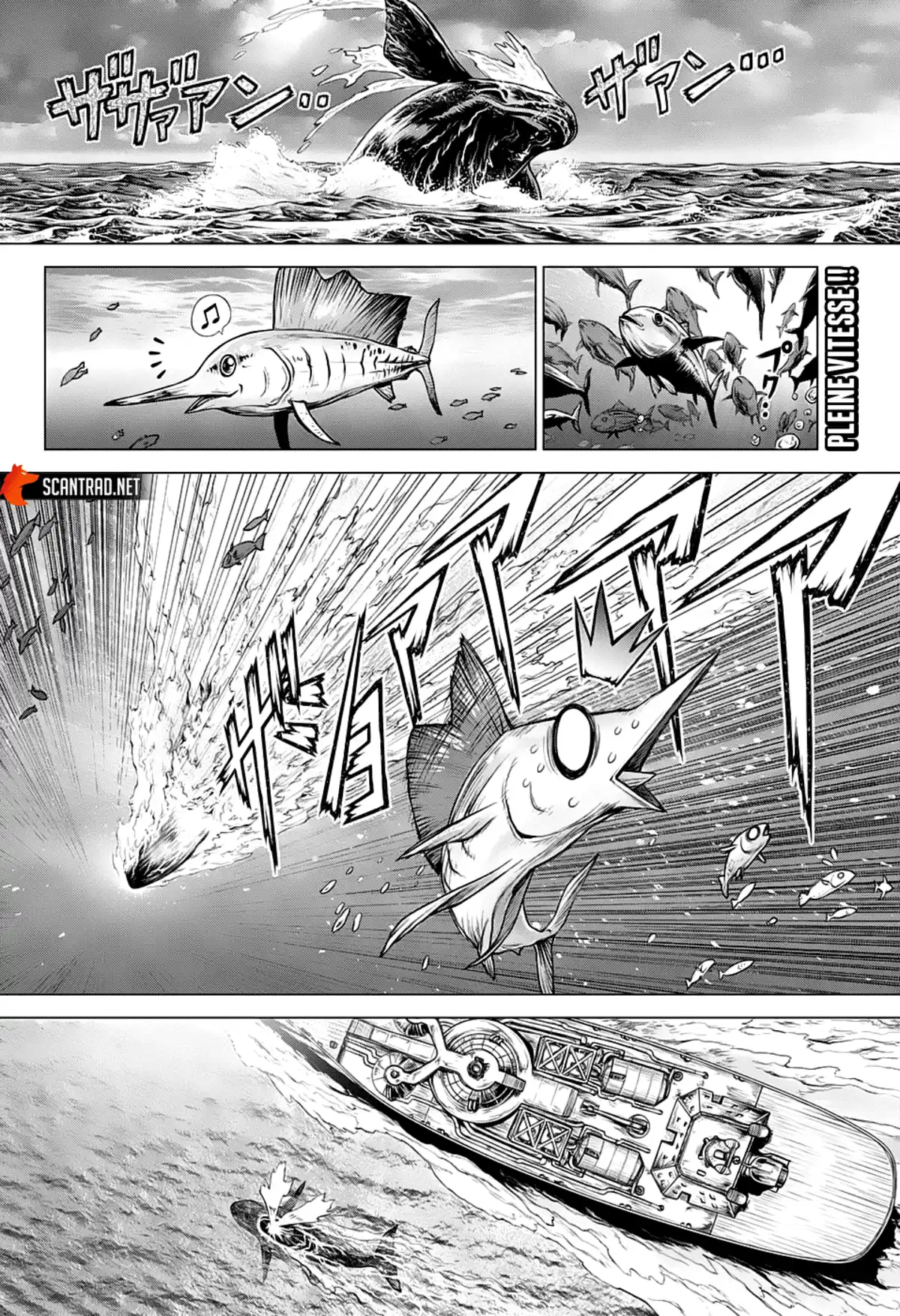 Dr. STONE Chapitre 201 page 2