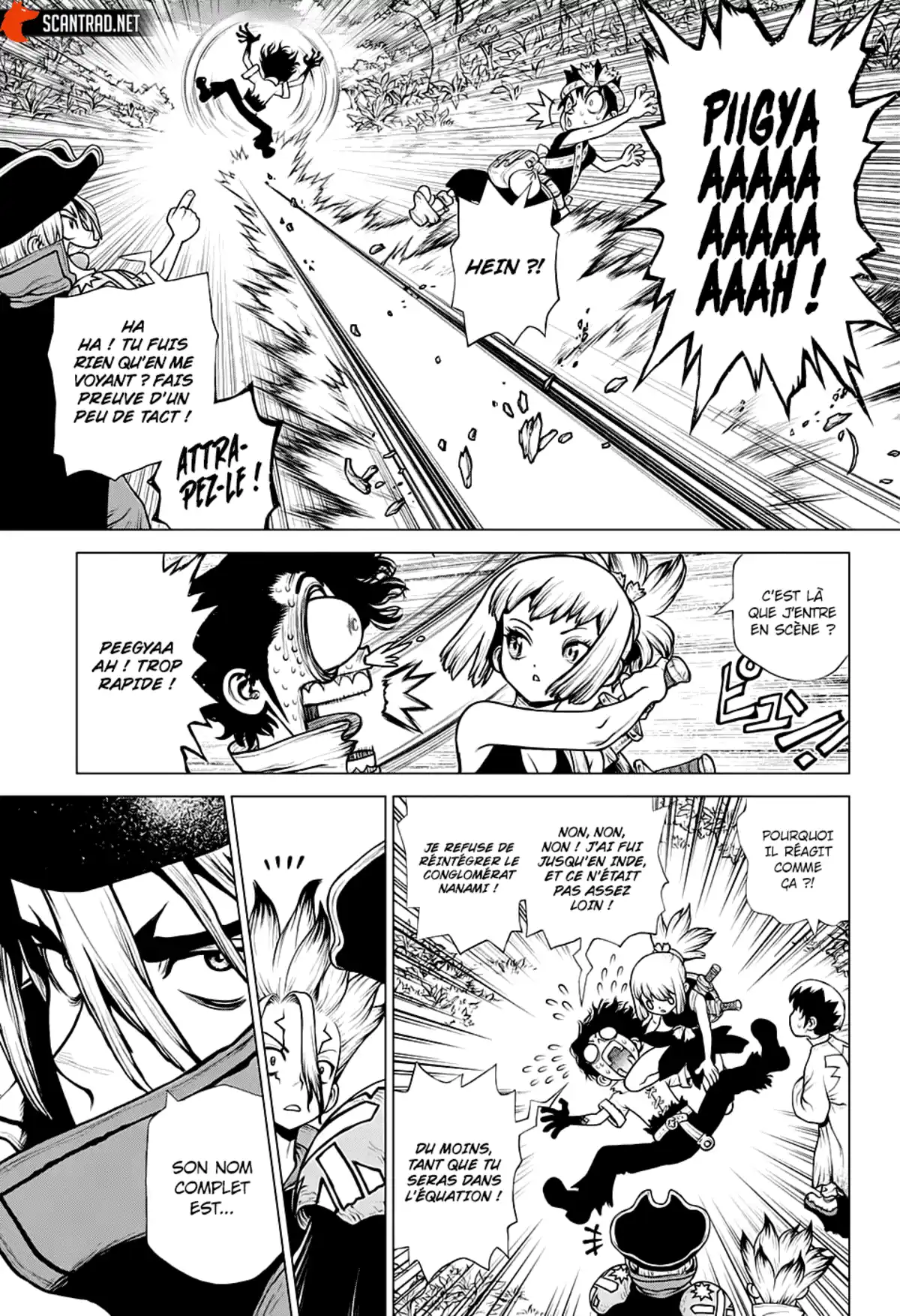 Dr. STONE Chapitre 204 page 15