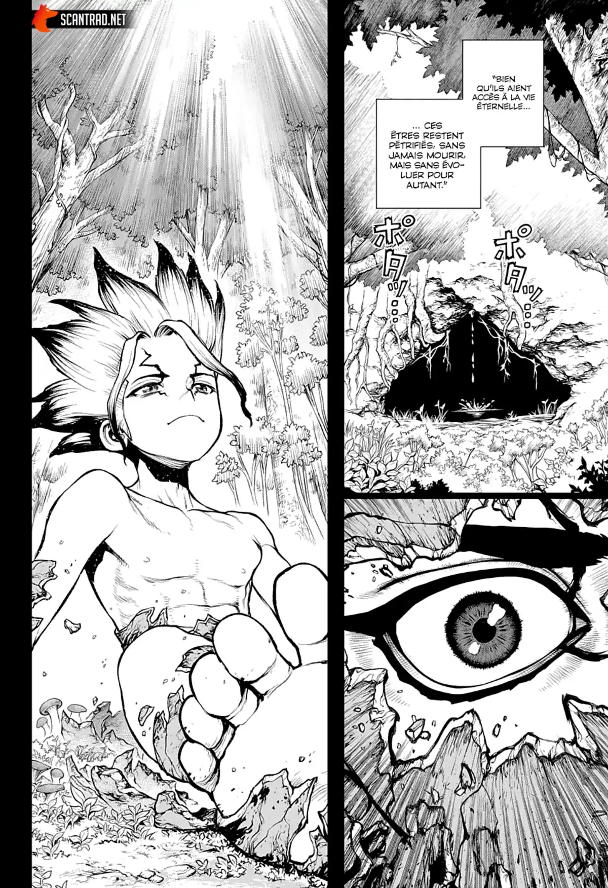 Dr. STONE Chapitre 229 page 13