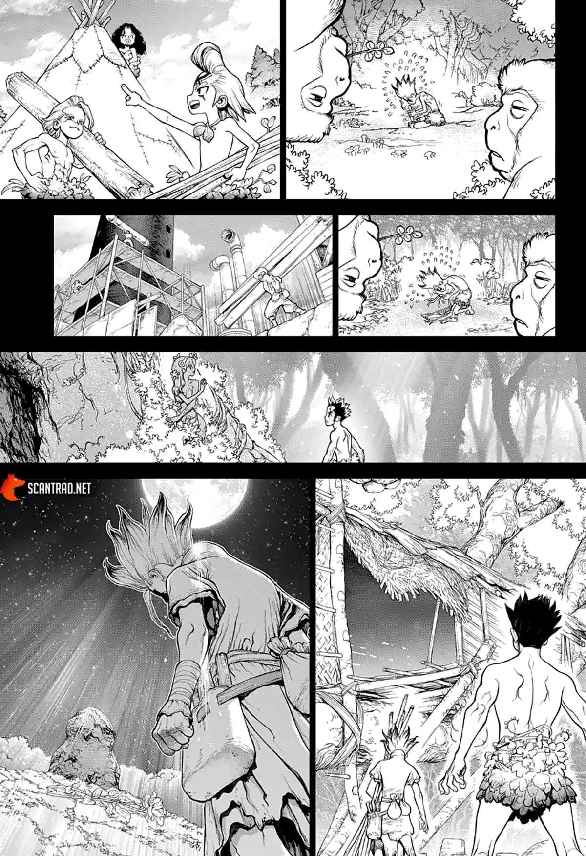 Dr. STONE Chapitre 229 page 14