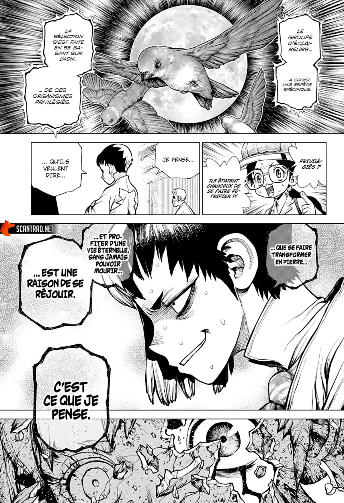 Dr. STONE Chapitre 229 page 5