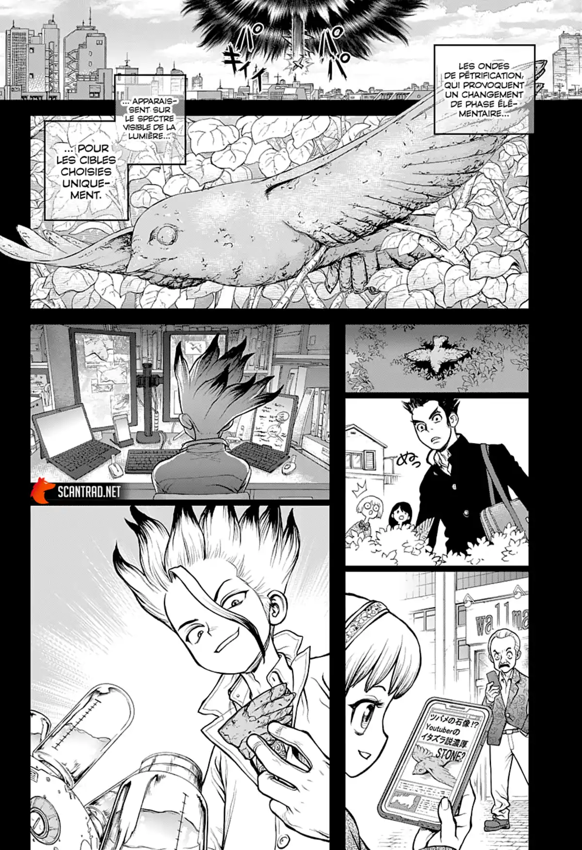 Dr. STONE Chapitre 229 page 6