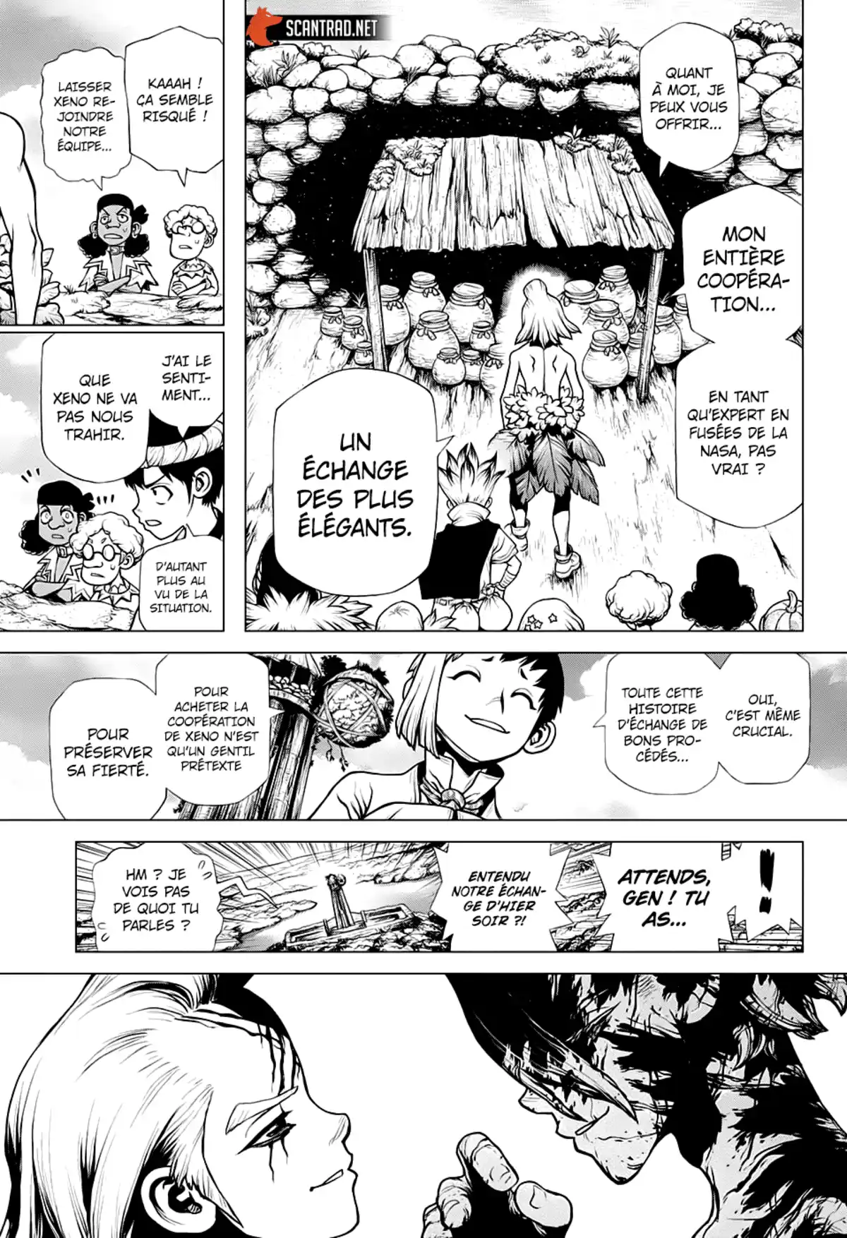 Dr. STONE Chapitre 198 page 13