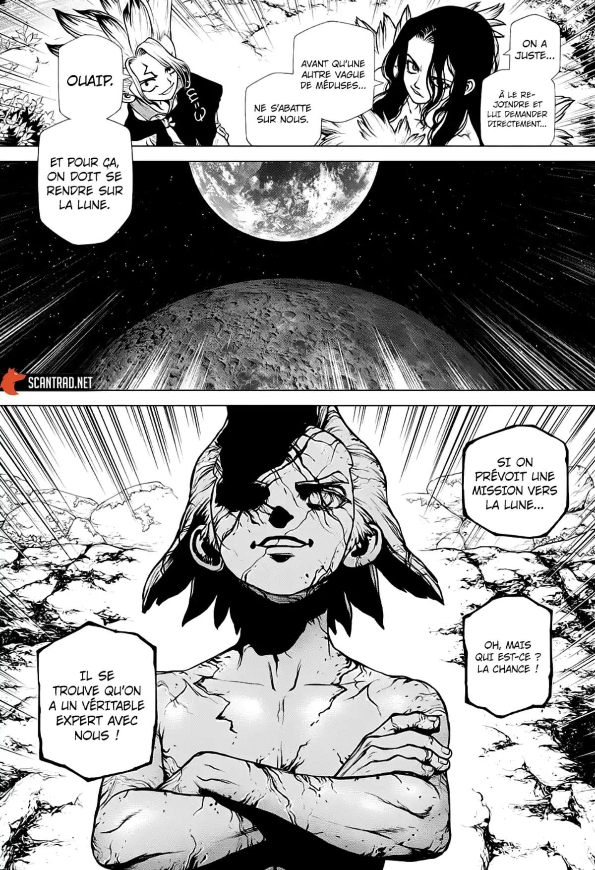 Dr. STONE Chapitre 198 page 4