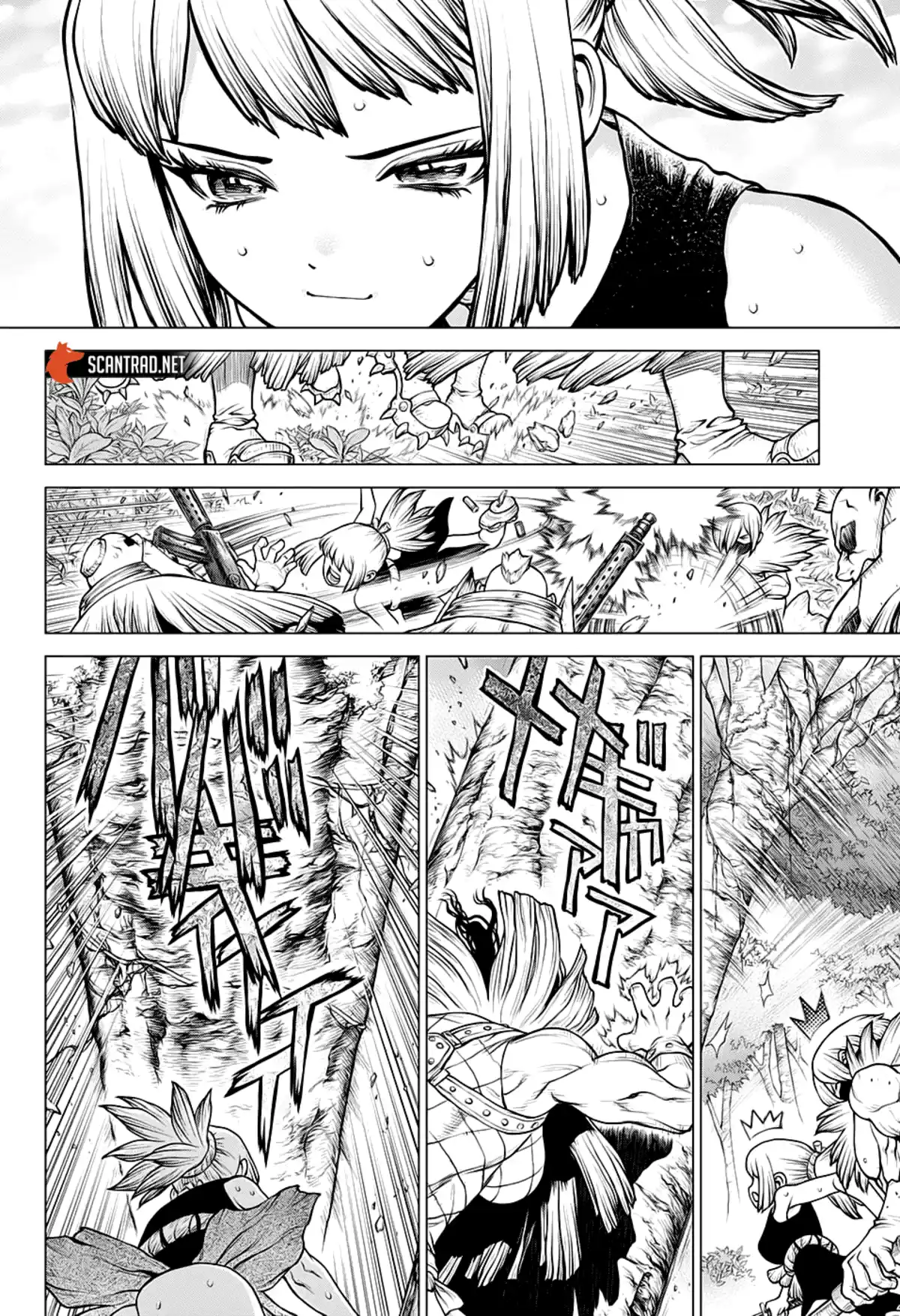 Dr. STONE Chapitre 188 page 4