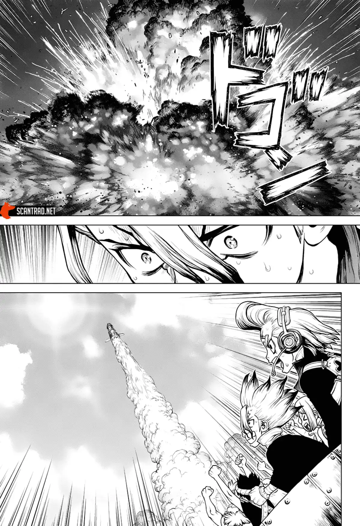 Dr. STONE Chapitre 215 page 15