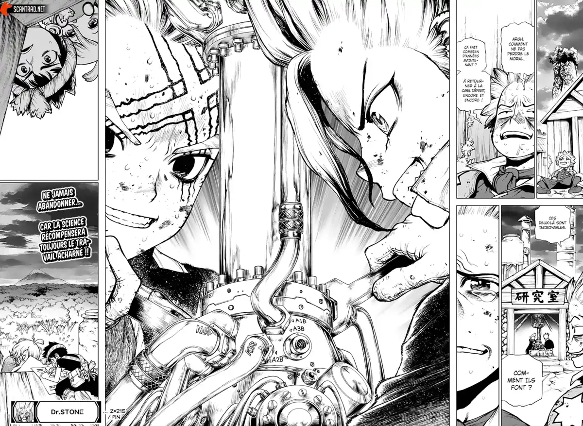 Dr. STONE Chapitre 215 page 17