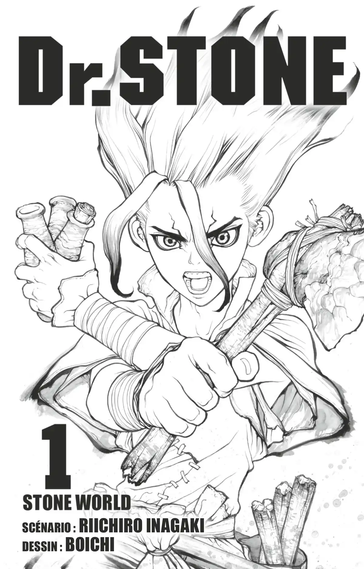 Dr. STONE Volume 1 page 2