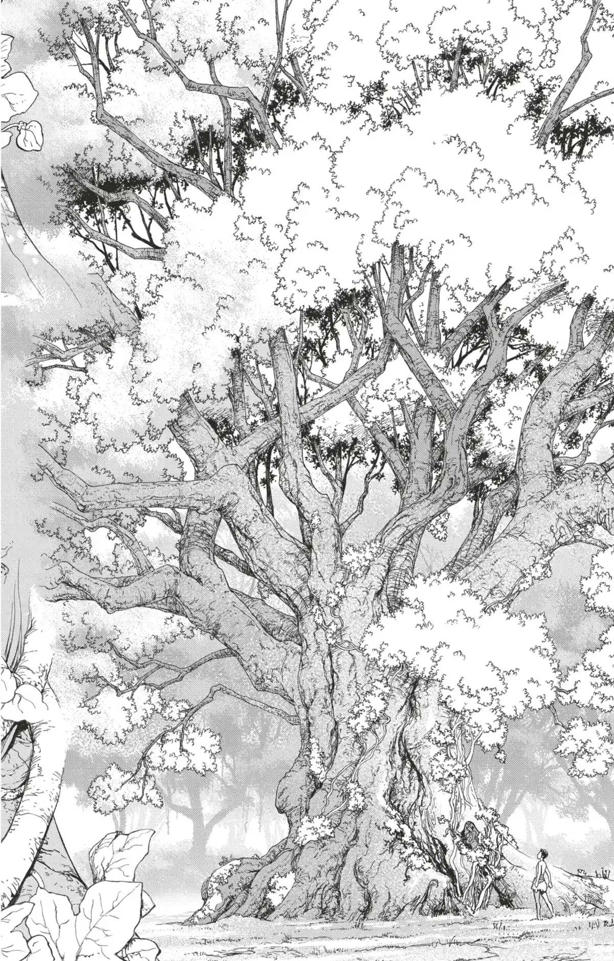 Dr. STONE Volume 1 page 41