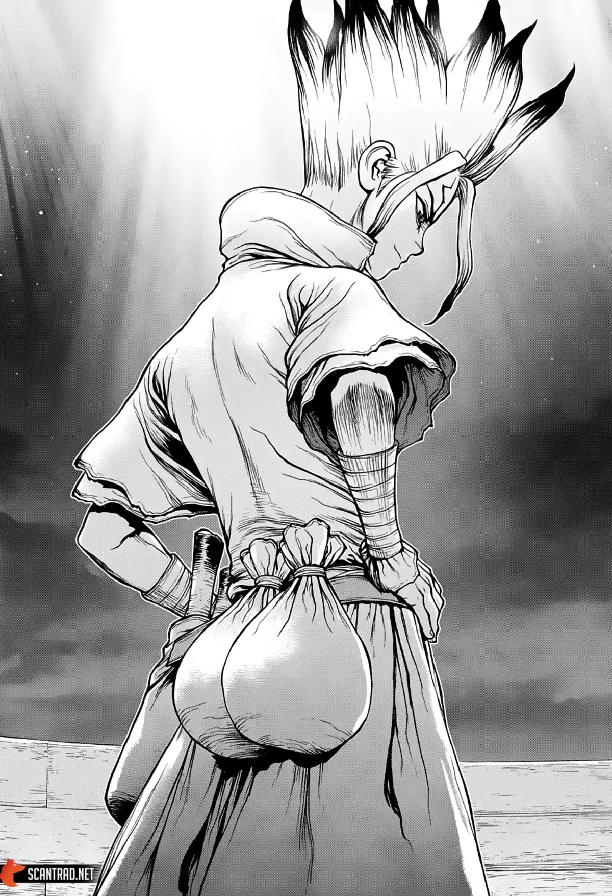 Dr. STONE Volume 17 page 53