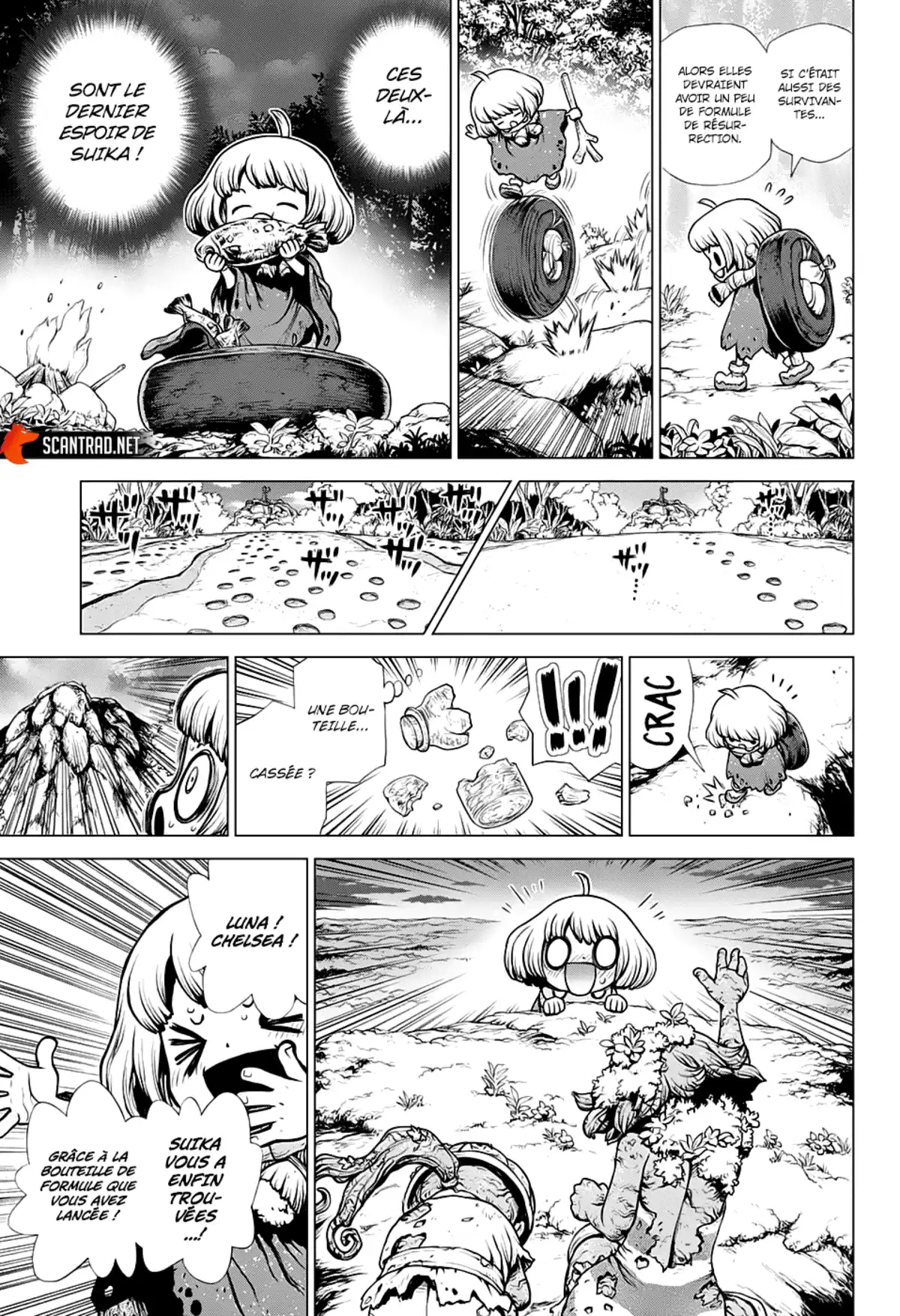 Dr. STONE Chapitre 195 page 10