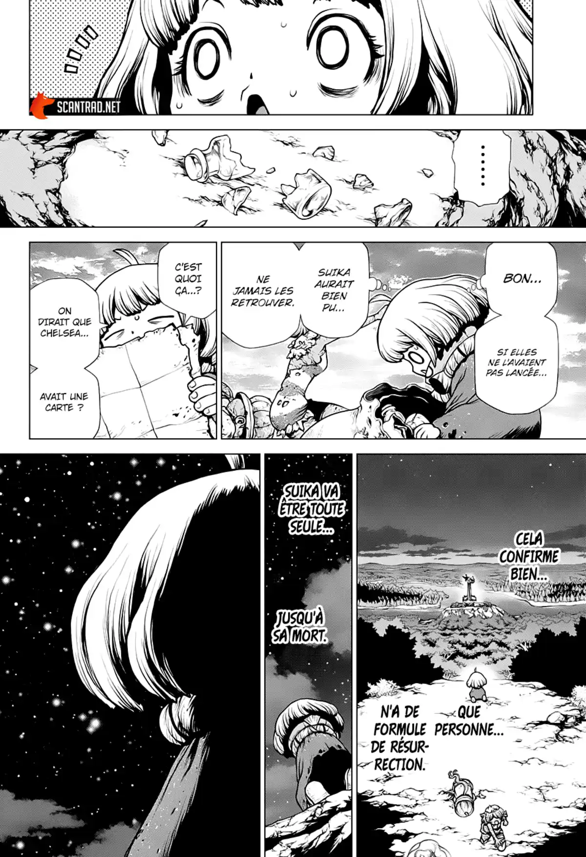 Dr. STONE Chapitre 195 page 11