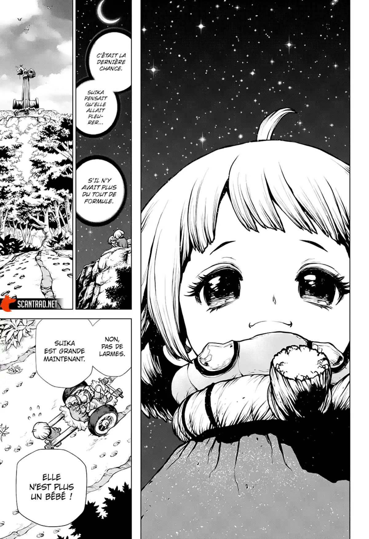 Dr. STONE Chapitre 195 page 12