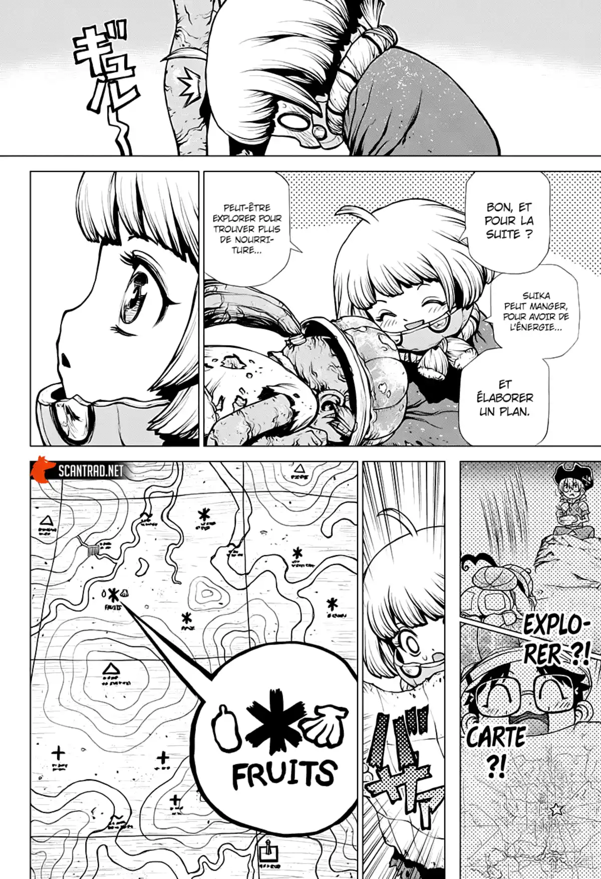 Dr. STONE Chapitre 195 page 14