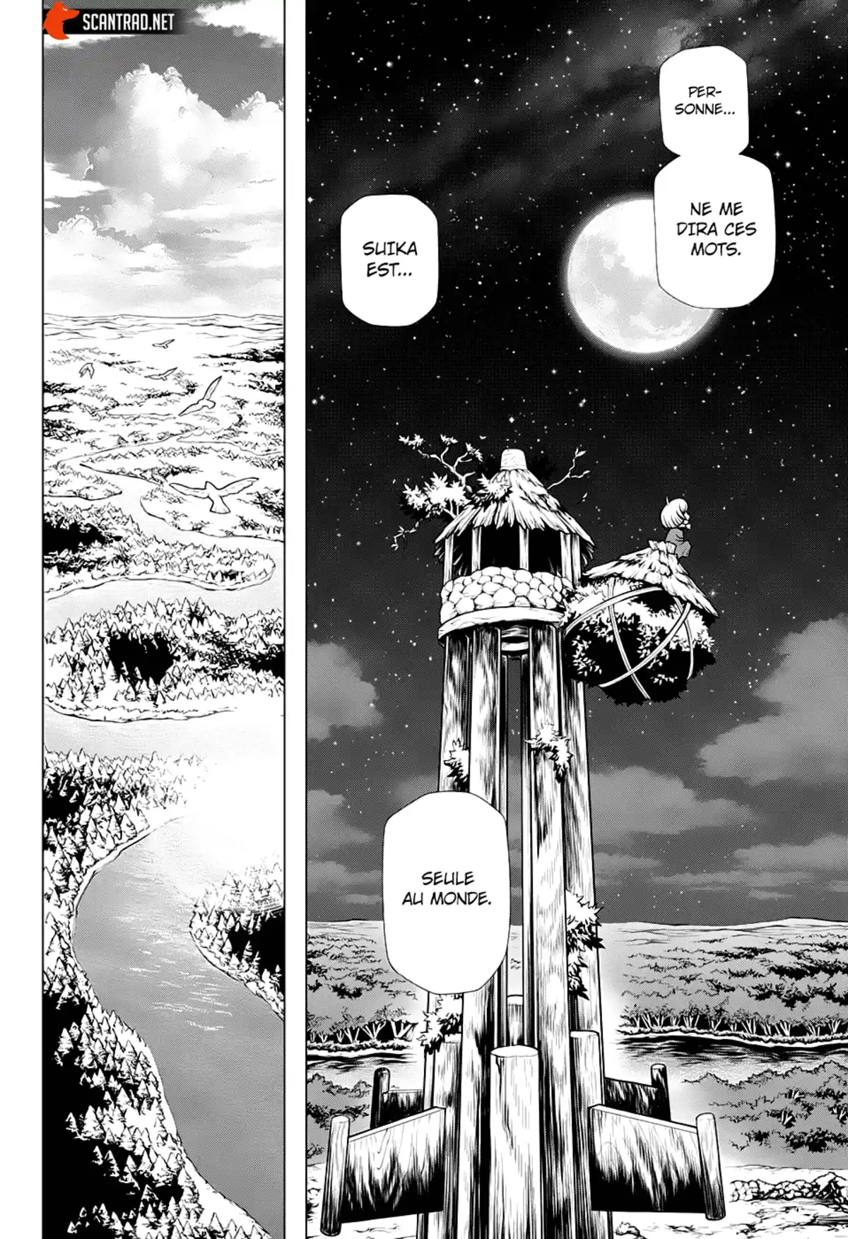 Dr. STONE Chapitre 195 page 7