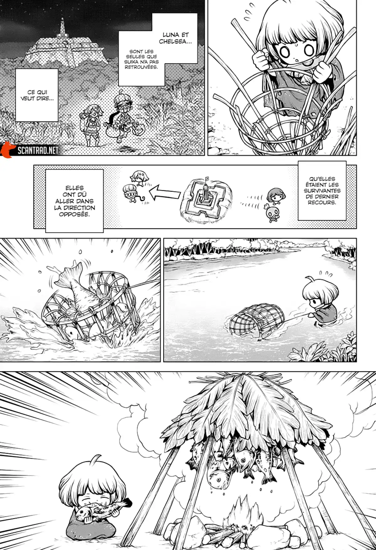 Dr. STONE Chapitre 195 page 8