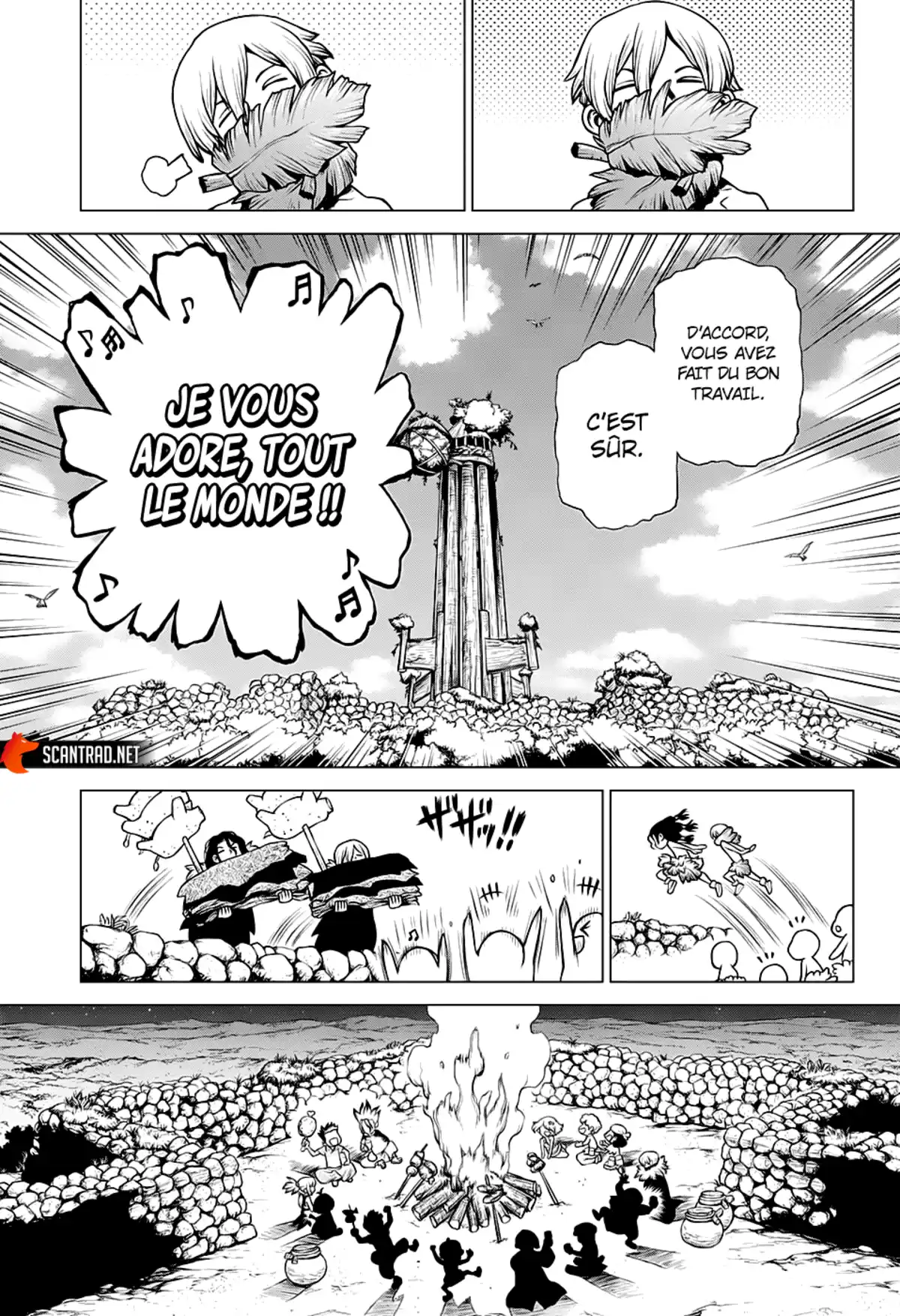 Dr. STONE Chapitre 197 page 11