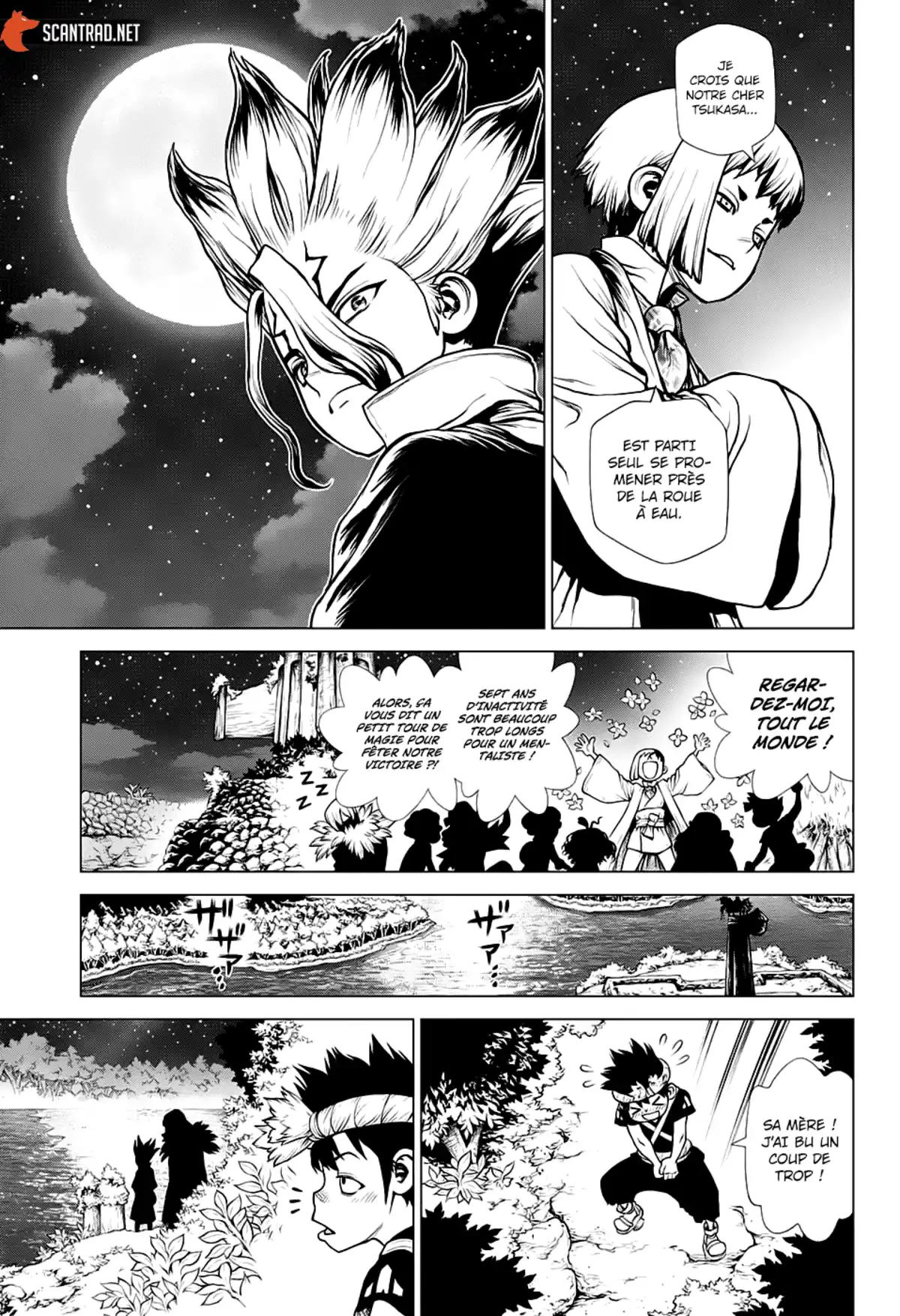 Dr. STONE Chapitre 197 page 13