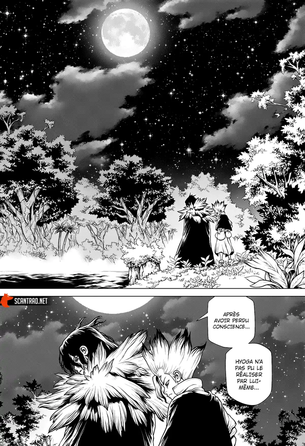 Dr. STONE Chapitre 197 page 14