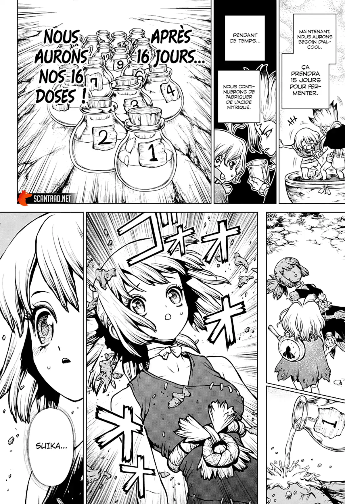 Dr. STONE Chapitre 197 page 4