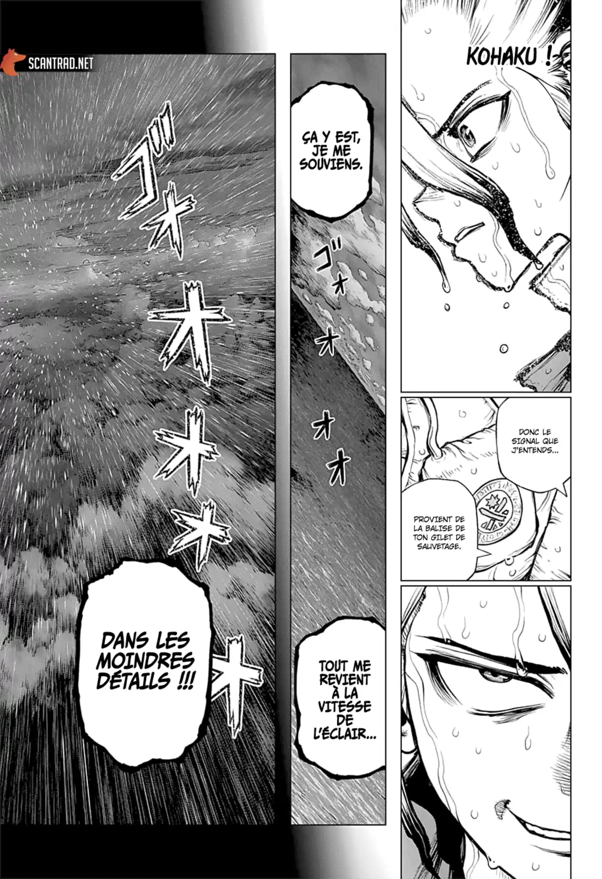 Dr. STONE Chapitre 232.1 page 8