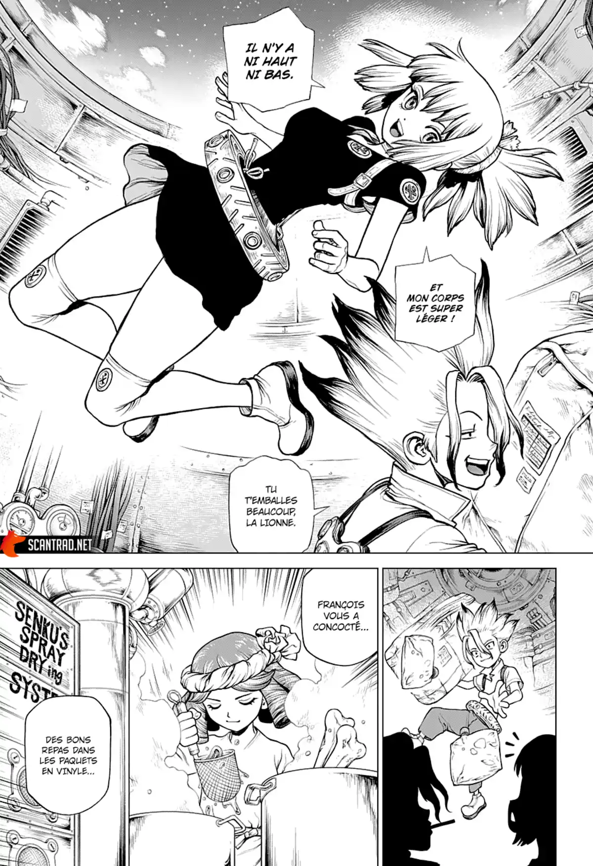 Dr. STONE Chapitre 224 page 12