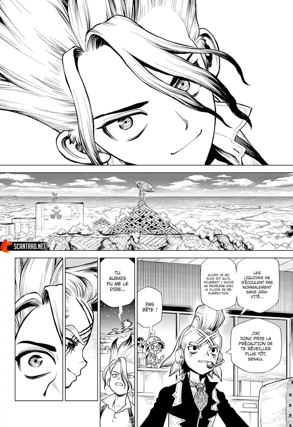 Dr. STONE Chapitre 224 page 8