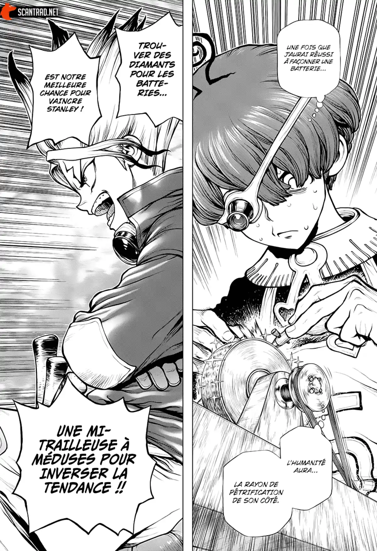 Dr. STONE Chapitre 183 page 16