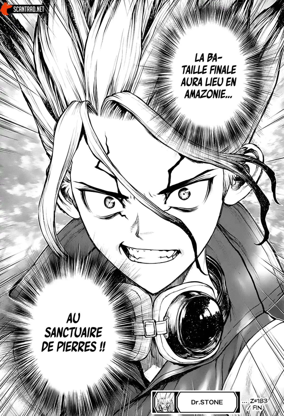 Dr. STONE Chapitre 183 page 17