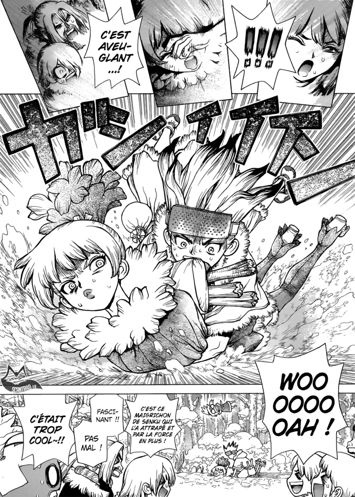 Dr. STONE Volume 8 page 12