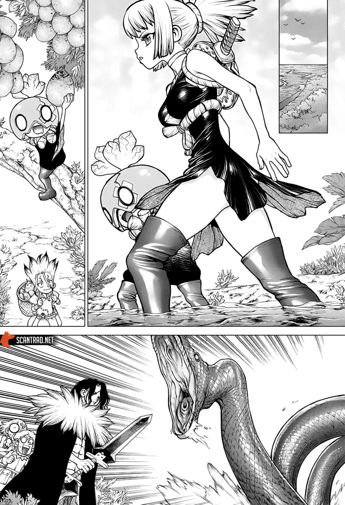 Dr. STONE Chapitre 180 page 5