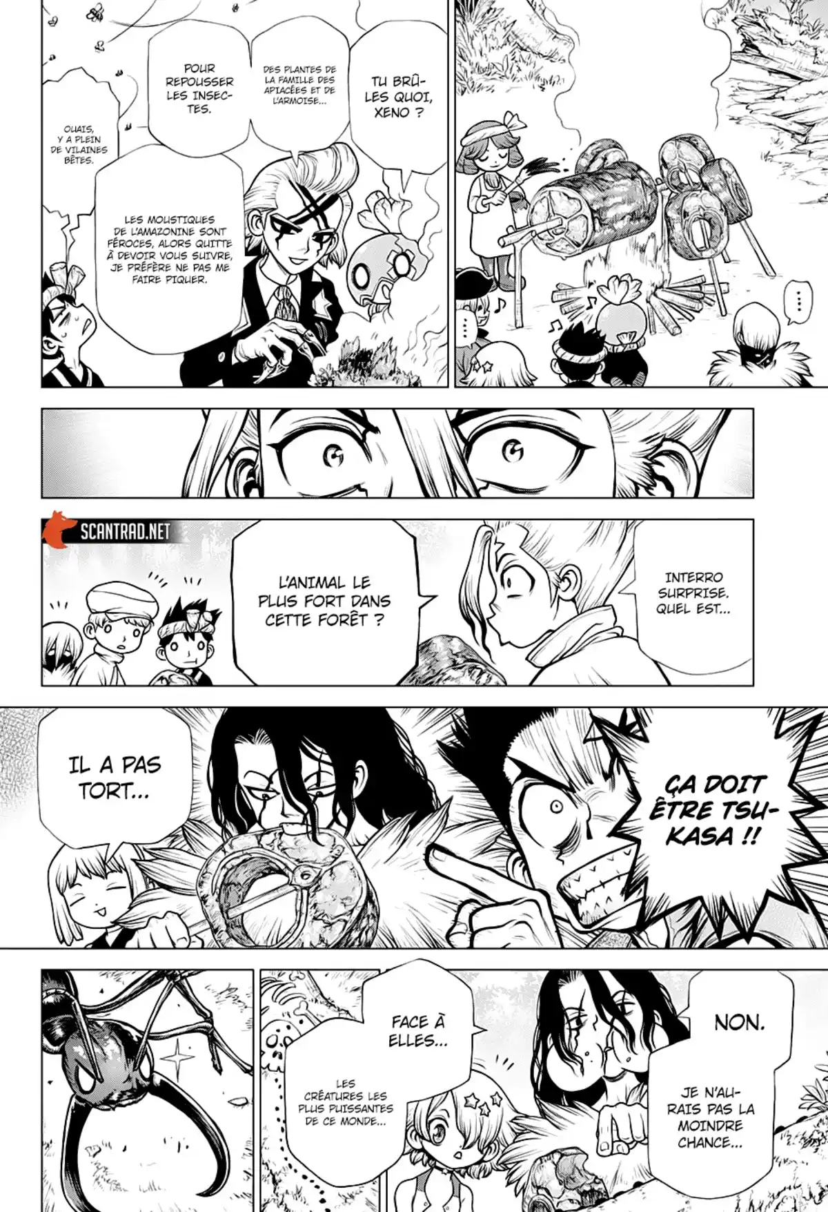 Dr. STONE Chapitre 180 page 6