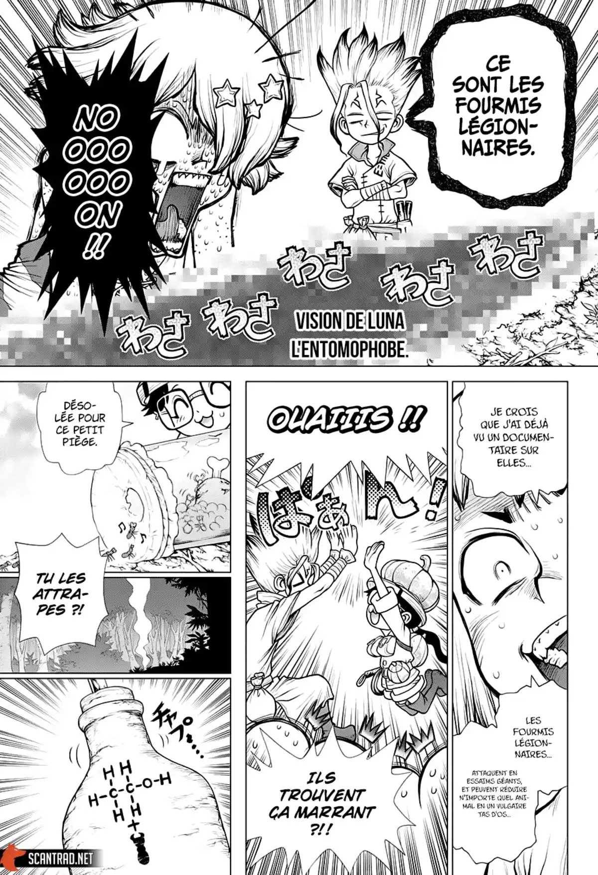 Dr. STONE Chapitre 180 page 7