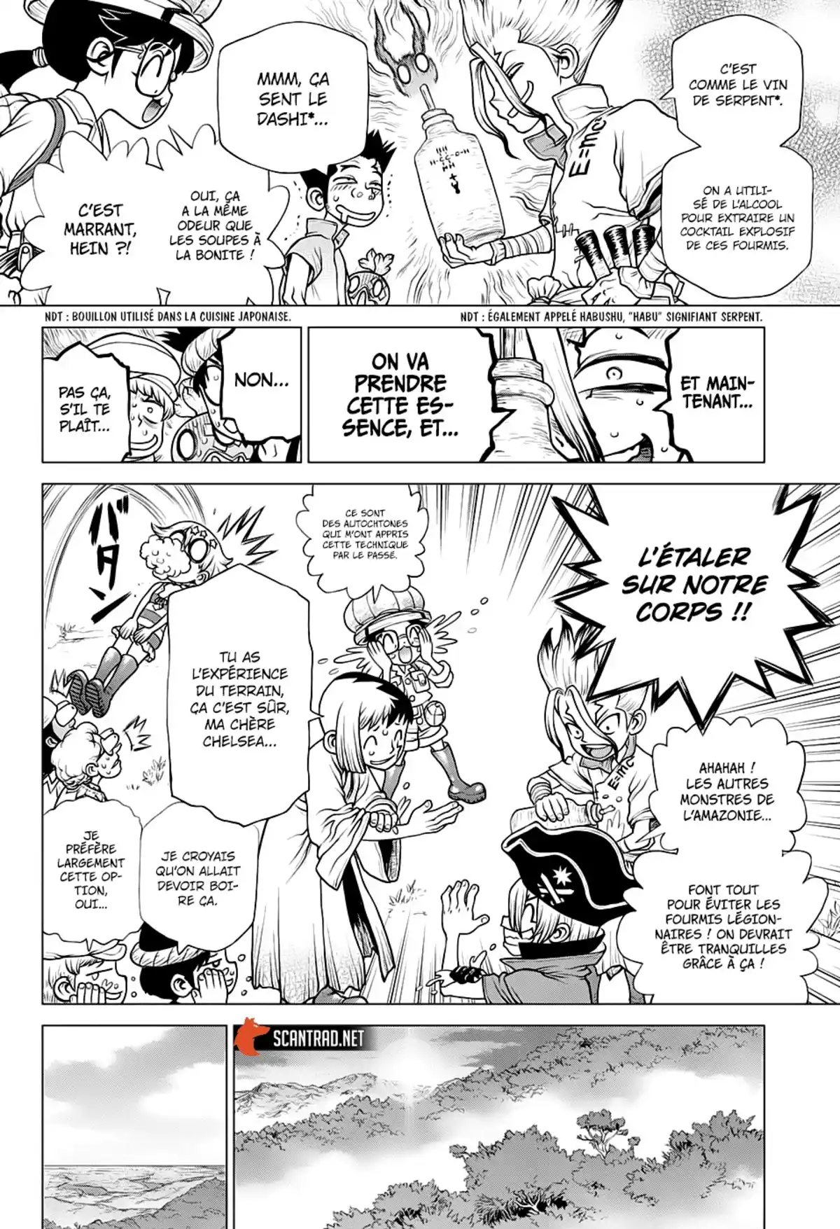 Dr. STONE Chapitre 180 page 8