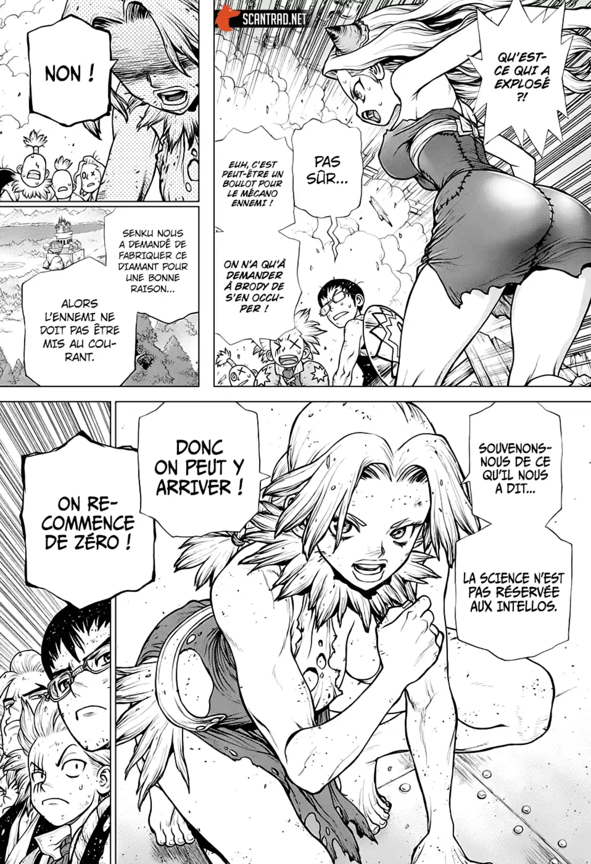 Dr. STONE Chapitre 182 page 13