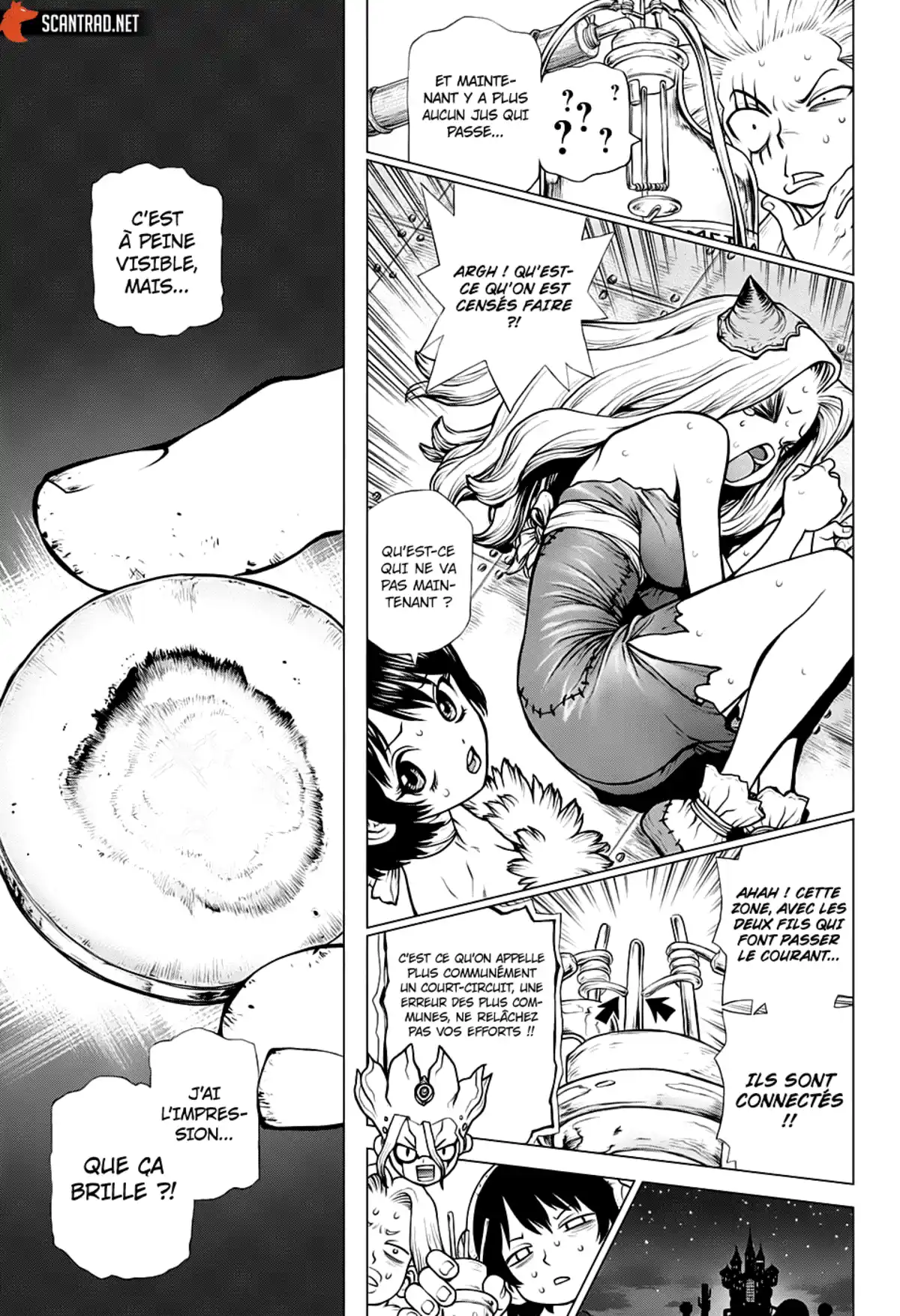 Dr. STONE Chapitre 182 page 15